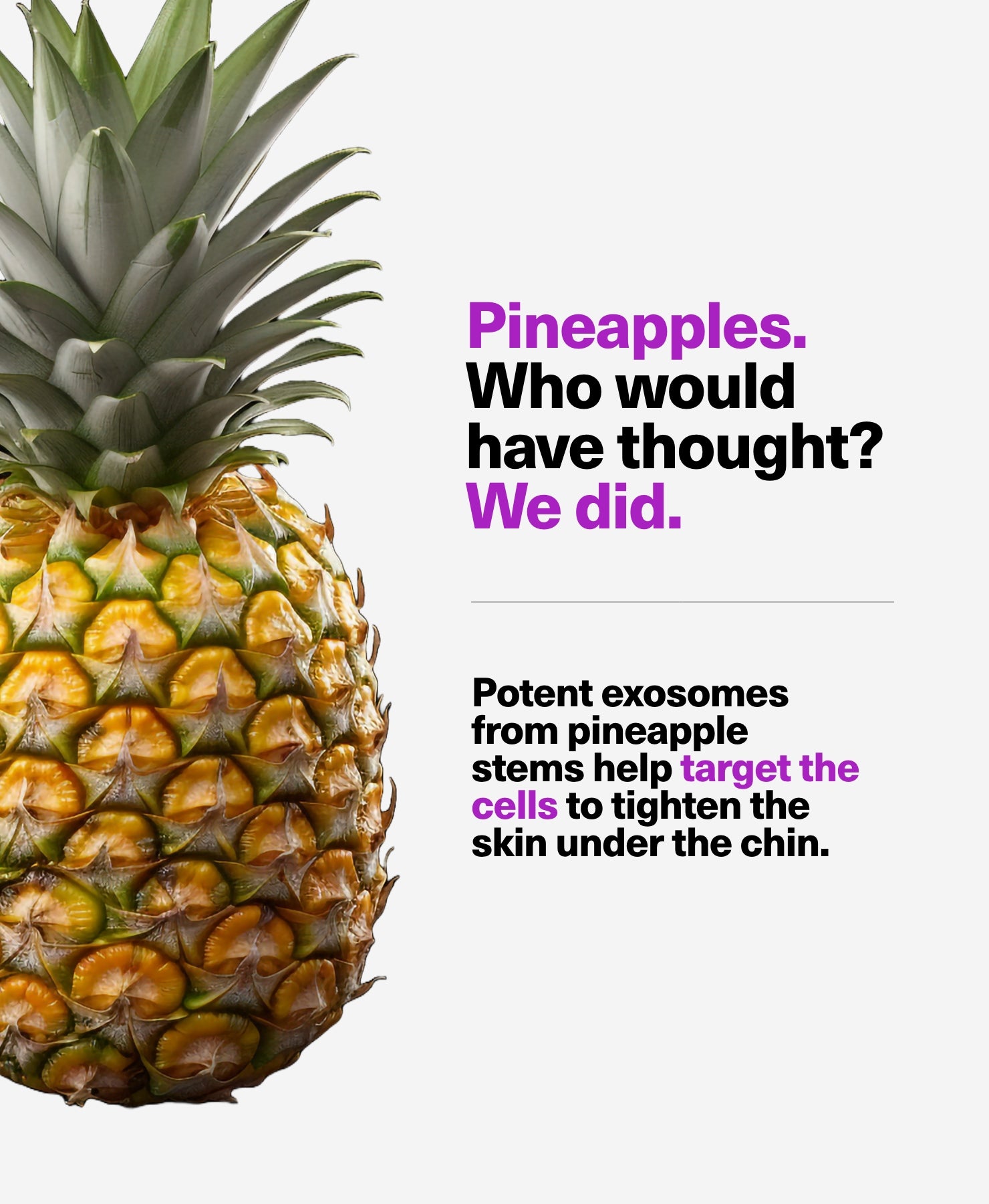 Exosomes from pineapple stems.