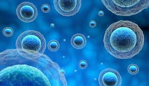 What Are Exosomes? A Scientific Deep Dive into Nature's Cellular Messengers